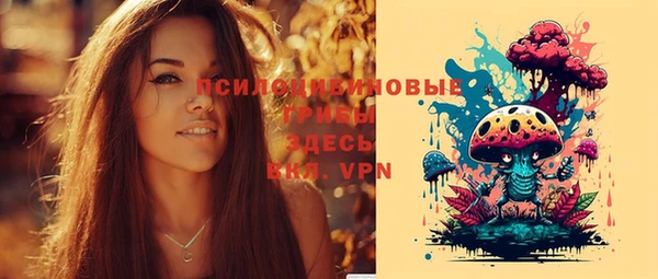герыч Коряжма